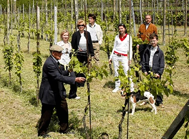 La famiglia Di Criscio in vigna