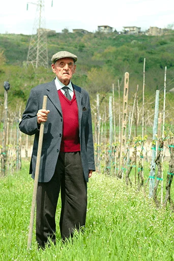 Nonno Luigi in vigna, Cantine Di Criscio