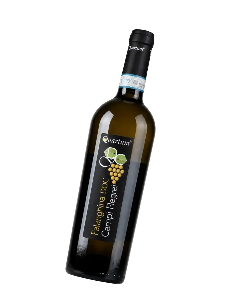 Bottiglia di Falanghina Campi Flegrei DOC Quartum, Cantine Di Criscio