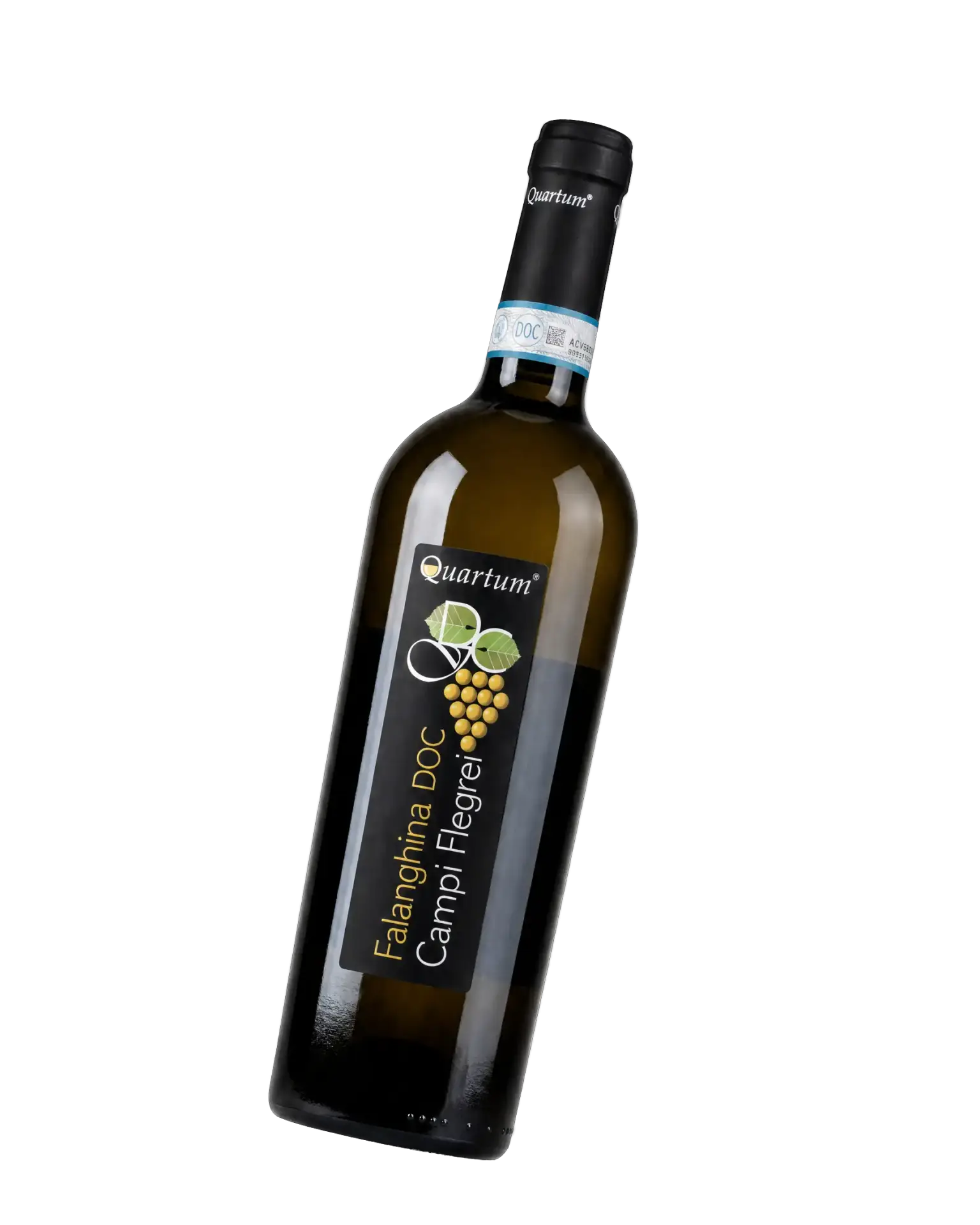 Falanghina